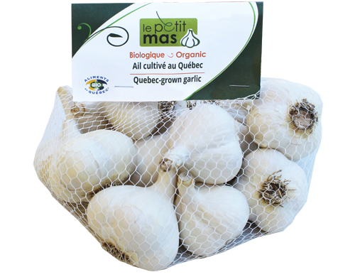 Organic Quebec-grown garlic - 1 kilo - Le Petit Mas Quebec-grown (Canadian) organic garlic - Stock-up and buy organic Quebec-grown (Canadian) garlic, organic fermented garlic scapes, dried quebec-grown (canadian) garlic, dried quebec-grown (canadian) garlic scapes