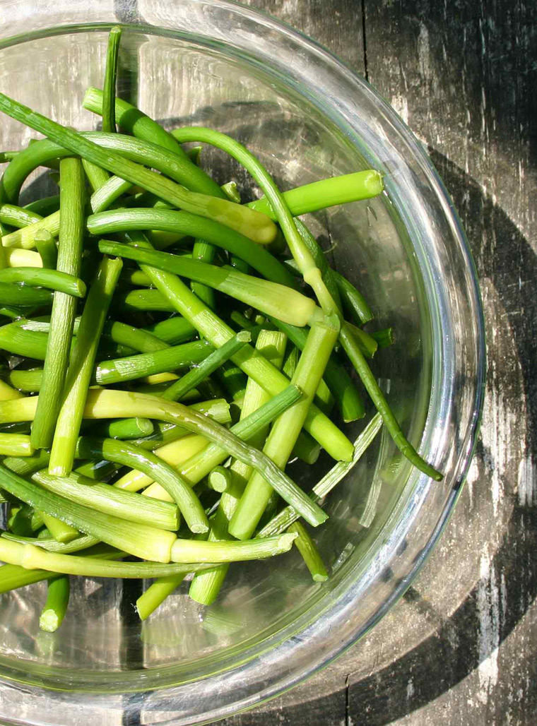 Recipe - Fresh garlic scapes topping - - Recipes with fermented garlic scapes – Le Petit Mas organic garlic and garlic scape farm in Quebec (Canada)